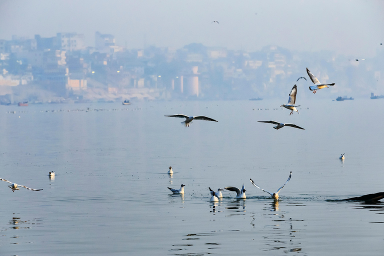 Varanasi: Airport Pickup/Drop Transfer Service