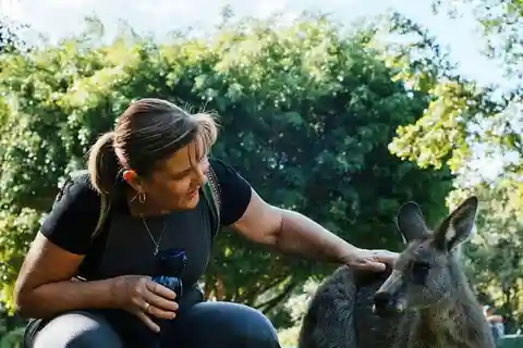 From Brisbane: Australia Zoo and Sunshine Coast Day Trip