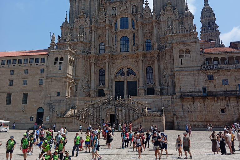 Porto: Baiona, Santiago de Compostela & Vigo Day Trip