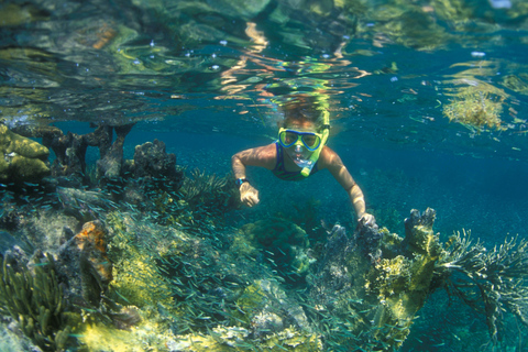 Excursión de snorkel con recogida y guía