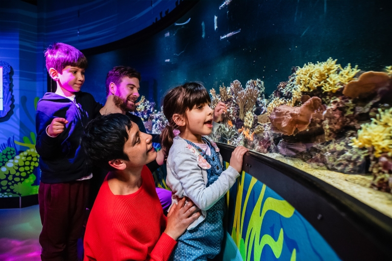 Londres : billet d'entrée pour l'aquarium SEA LIFEBillet standard