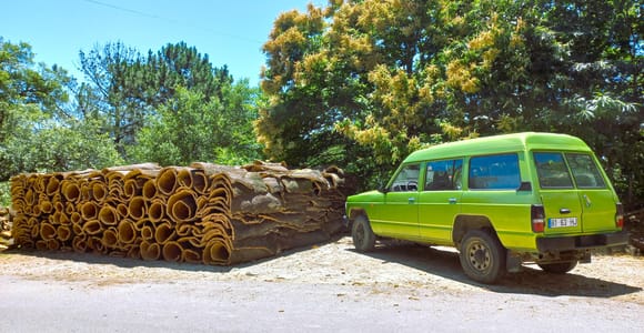 Halve dag jeepsafari in de bergen met proeverij van sterke drank