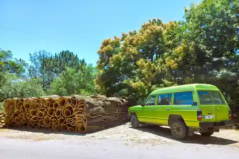 Mountain Jeep Safari van een halve dag met vuurwaterproeverij