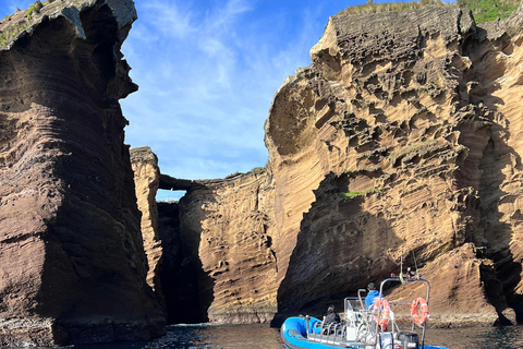 Vila Franca do Campo: Bird Watching & Snorkeling Vila Franca do Campo: Marine Birdwatching & Snorkeling