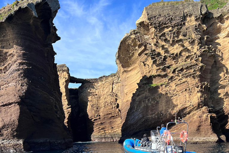 Vila Franca do Campo: Bird Watching & Snorkeling Vila Franca do Campo: Marine Birdwatching & Snorkeling