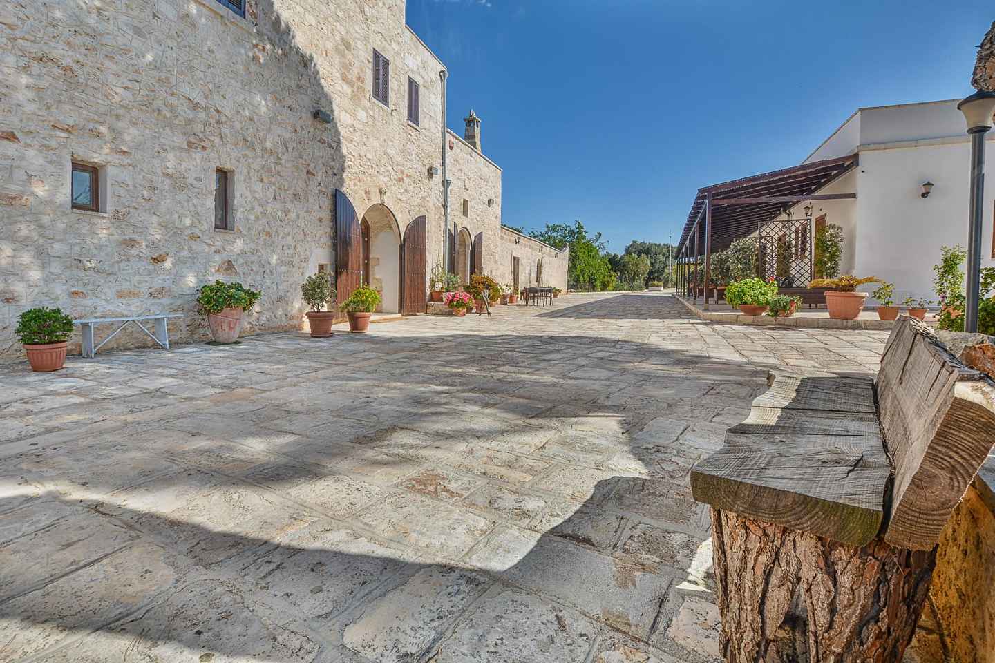 Ostuni: Olive Oil Tasting Tour