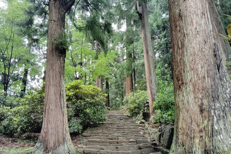 Nara: Muro-ji Temple – Serenity, Tradition and Sacred Beauty