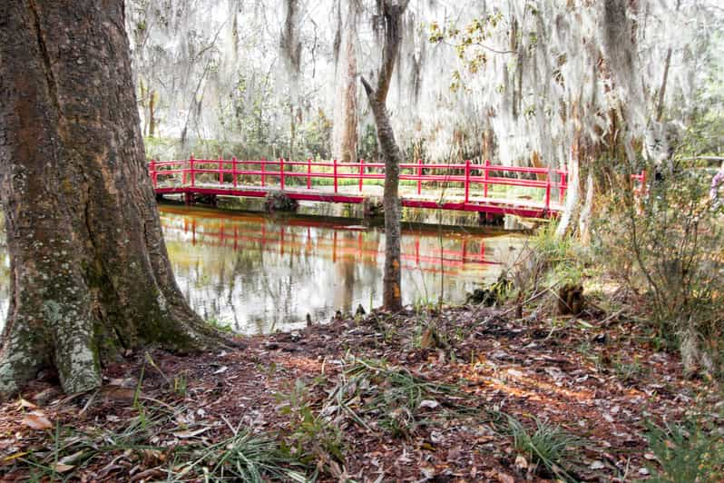 Charleston: Magnolia Plantation Tour And Transport | GetYourGuide