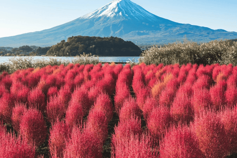 Tokyo: Mountain Fuji Private Full Day Tour with transfer Mount Fuji: Private Tour (Guided tour included) Max 5 pax