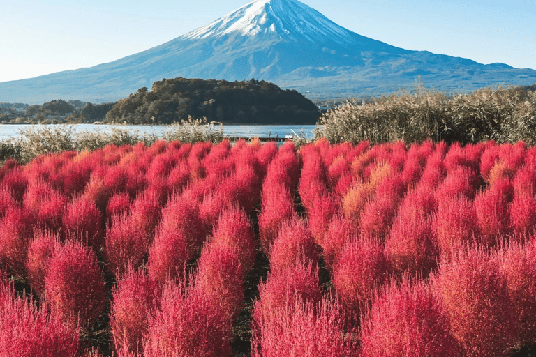 Tokyo: Mountain Fuji Private Full Day Tour with transfer Mount Fuji: Private Tour (Guided tour included) Max 5 pax