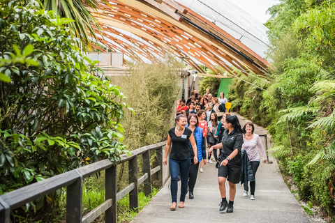 Waitomo: Jaskinie Glowworm Wycieczka z przewodnikiem łodziąWaitomo: rejs z przewodnikiem po jaskiniach Waitomo Glowworm