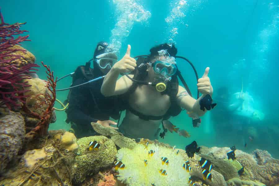 Nha Trang: Hon Mun Island Marine Park Schnorcheln & Schlammbad. Foto: GetYourGuide Nha Trang: Hon Mun Island Marine Park Schnorcheln & Schlammbad. Foto: GetYourGuide