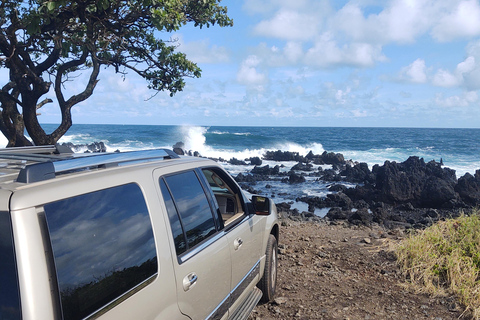 Maui: Halfway to Hana Black Sand Beach & Turtles Tour
