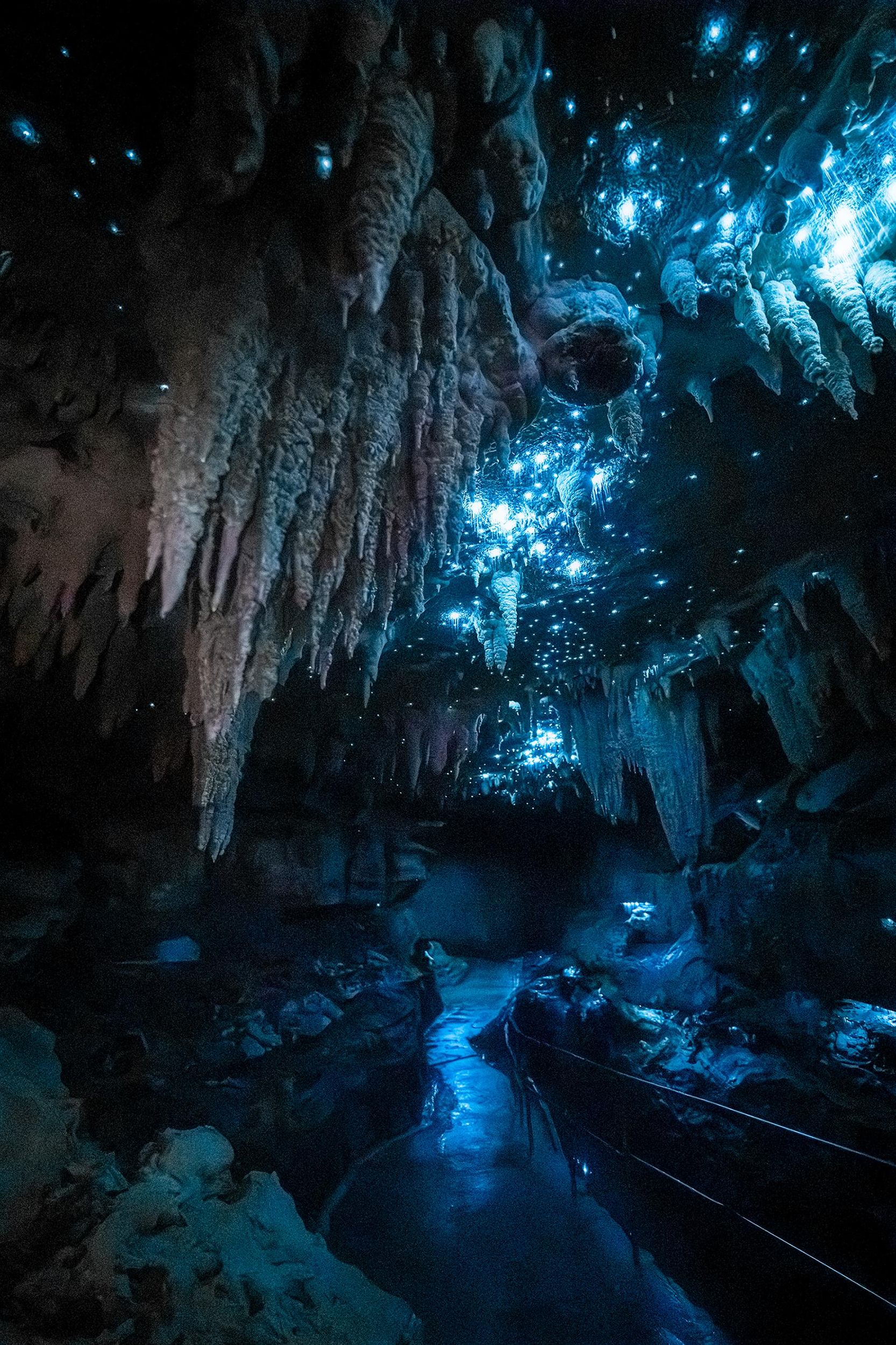Verborgene Schätze im Norden: Glühwürmchenhöhle, Strand & Café