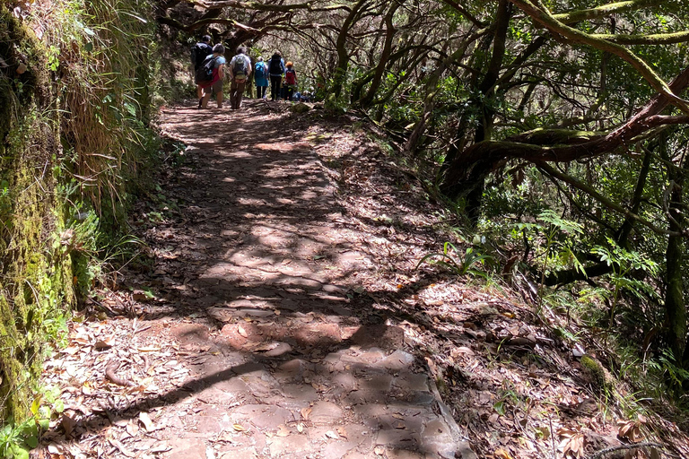 Rabaçal , 25 Fontes and Levada do Risco