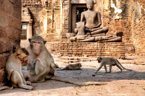 From Bangkok: Monkey Lopburi and Ayutthaya Day Trip