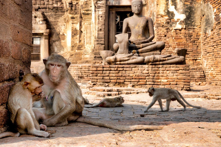 From Bangkok: Monkey Lopburi and Ayutthaya Day Trip
