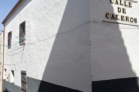 Cáceres: Full Sightseeing Tour of the Historic Center with Local Guide in Spanish