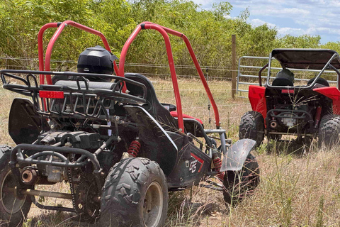 Bamboo Dune Buggy Tour