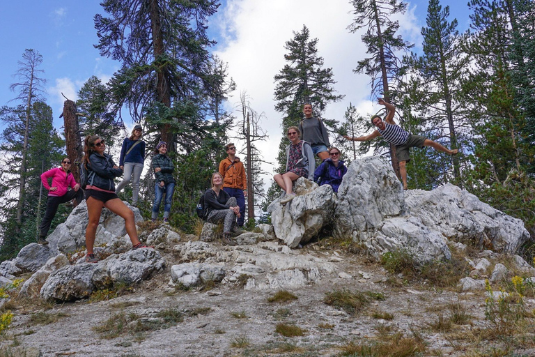 Z San Francisco: 4-dniowa wycieczka do Yosemite i Tahoe Sierras