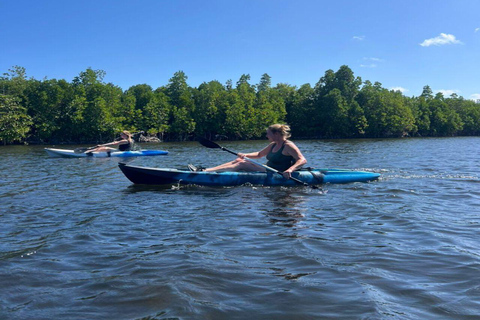 Zanzibar: Mangrove Kayak Tour with Snorkeling and Guide