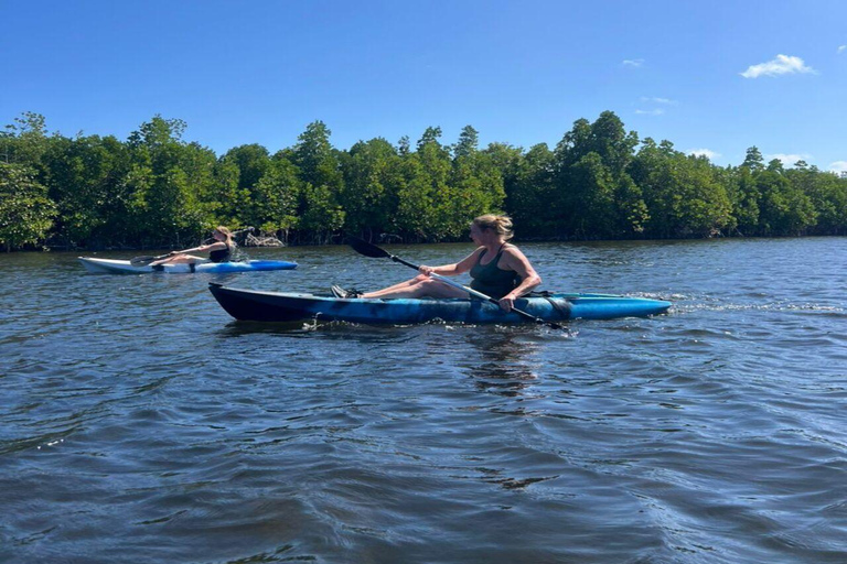 Zanzibar: Mangrove Kayak Tour with Snorkeling and Guide