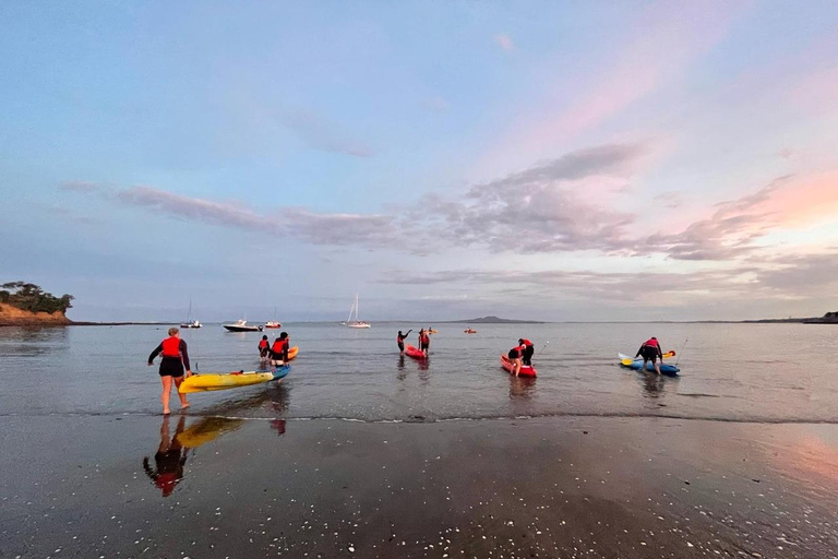 Auckland: Bioluminescence Kayak Tour with Guide