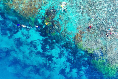 Gili Islands: Snorkeling Tour with Turtles and Coral Reefs