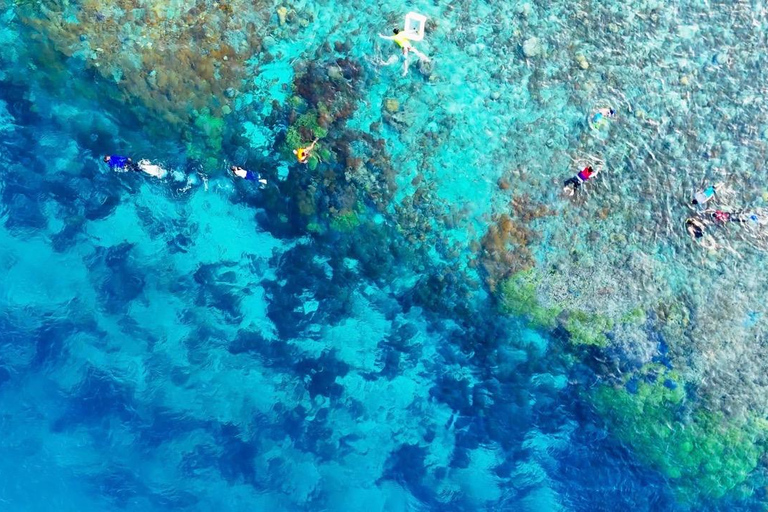 Gili Islands: Snorkeling Tour with Turtles and Coral Reefs