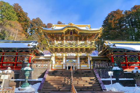 From Tokyo: Nikko Toshogu Shrine and Lake Chuzenji Day Trip Private Sightseeing Tours