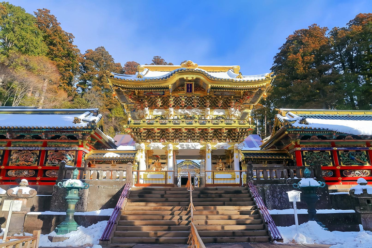 From Tokyo: Nikko Toshogu Shrine and Lake Chuzenji Day Trip Private Sightseeing Tours