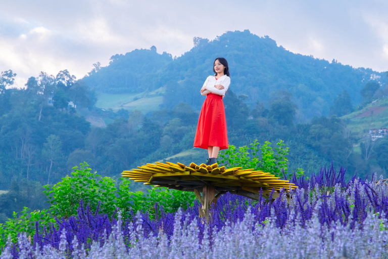 Chiang Mai: Mon Jam Flower Hills, Alpaca Cafe & Dantewada