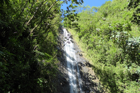 Vandring till vattenfall på Hawaii