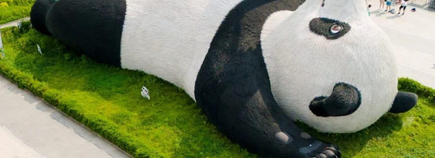 Chengdu : Excursion d'une journée aux merveilles cachées avec la base de pandas de Wolong