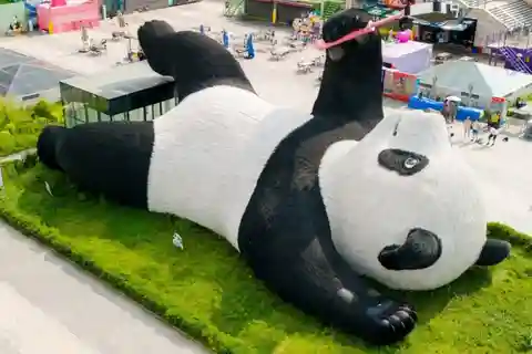 Chengdu: Excursión de un día a las Maravillas Ocultas con la Base Panda Wolong