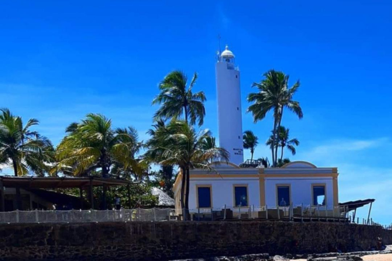 Salvador: Viagem de 1 dia para Praia do Forte e Guarajuba