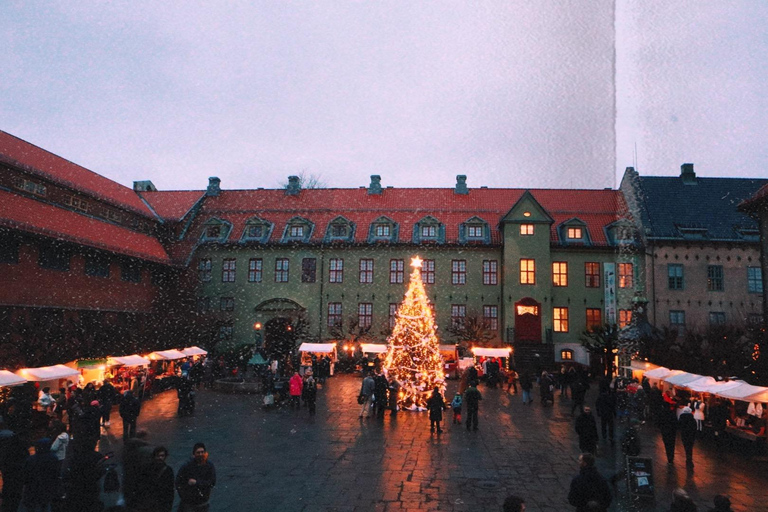 Oslo: Private Vintage Walking Tour with Photos Private Vintage Oslo Walk & Aesthetic Photos