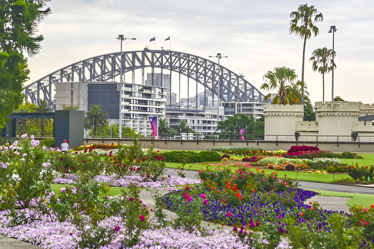 Sydney: Bondi Beach, Ópera y Visita Privada a la Ciudad de Sídney