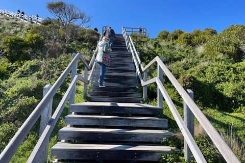 Hobart: 2 Day Bruny Island Escape & Port Arthur with Devils