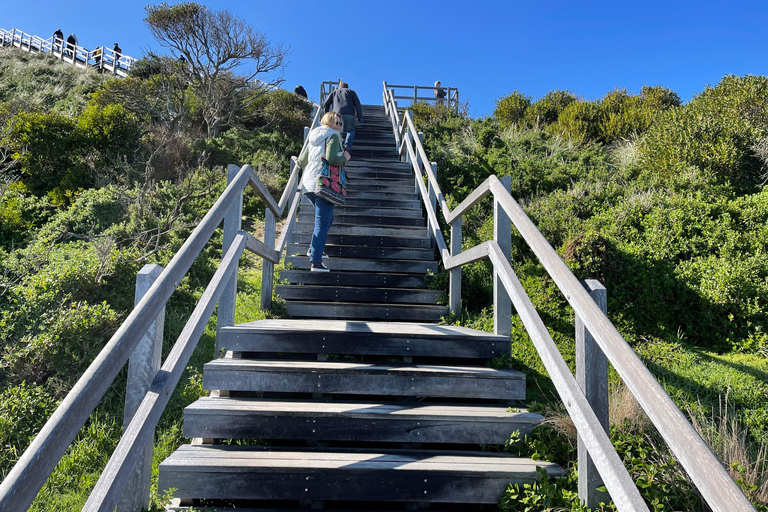 Hobart: 2 Day Bruny Island Escape & Port Arthur with Devils