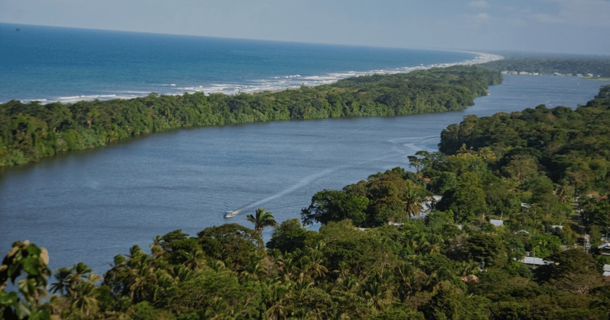 Tour In Canoa Nel Parco Nazionale Di Tortuguero Il Migliore Della