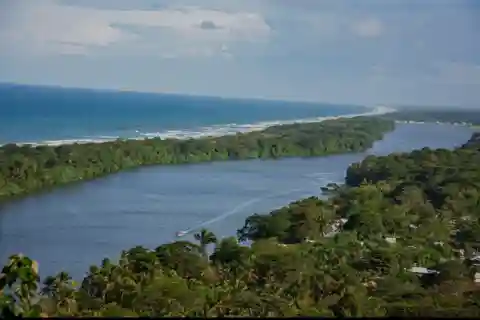 Excursión en canoa por el Parque Nacional de Tortuguero *Lo MEJOR DE LA CIUDAD*.