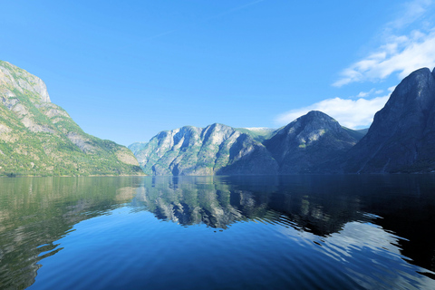 Guidad tur till Hardangerfjorden, vattenfall, färjeöverfart