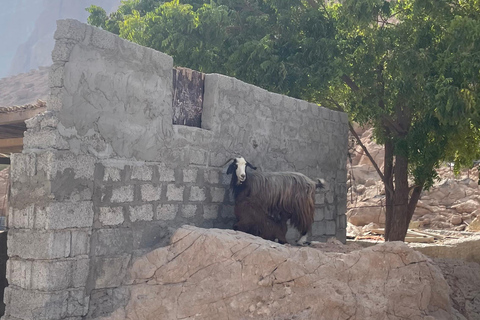 Muscat: Wadi Mibam, Sur, and Bimmah Sinkhole Day Trip