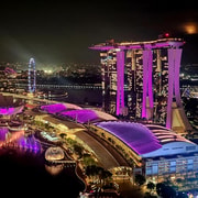 Singapore Essentials: 4-Hour Private Tour