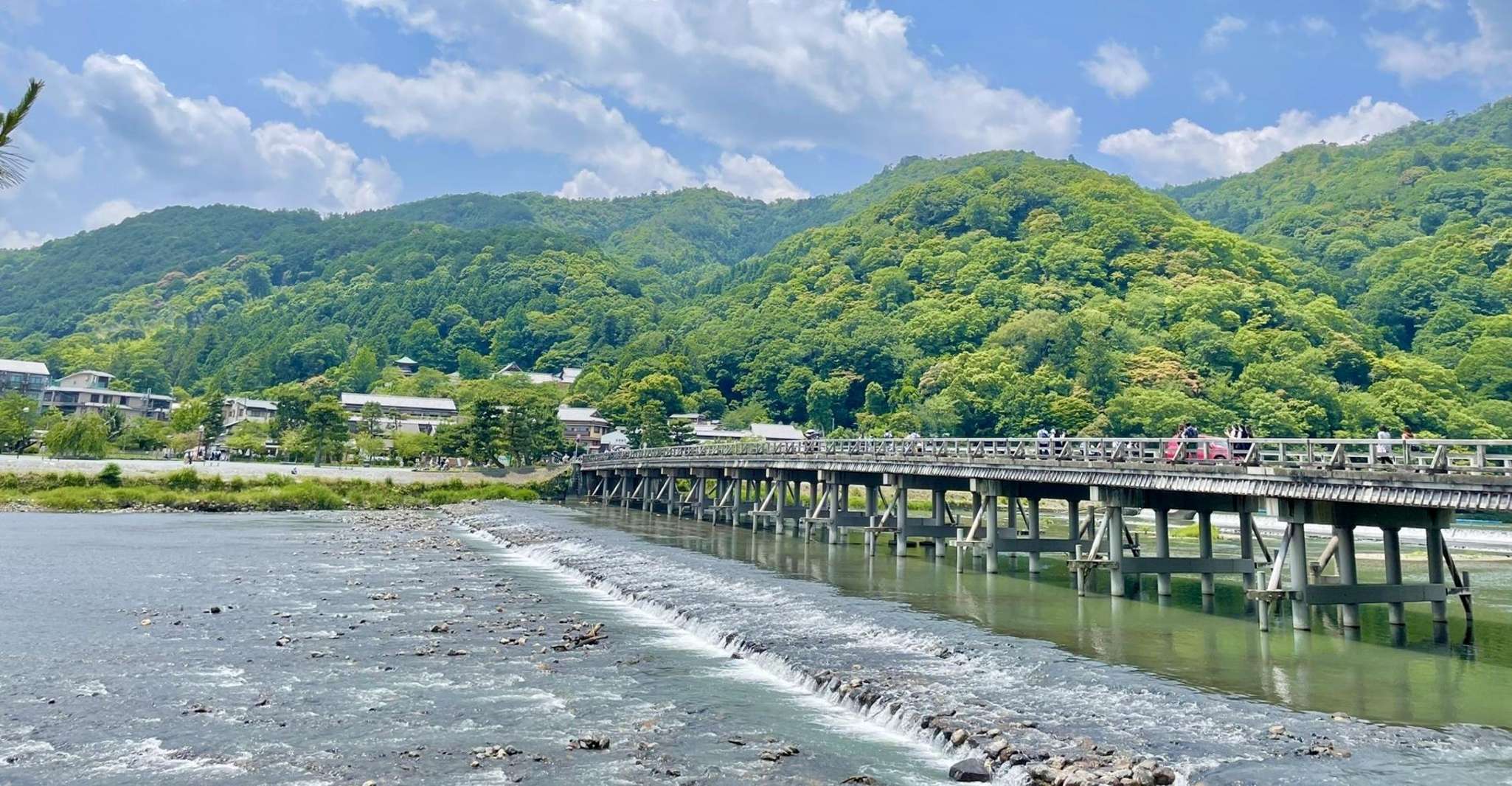 From Osaka/Kyoto: Kinkakuji, Arashiyama, FushimiInari, Nara photo 13
