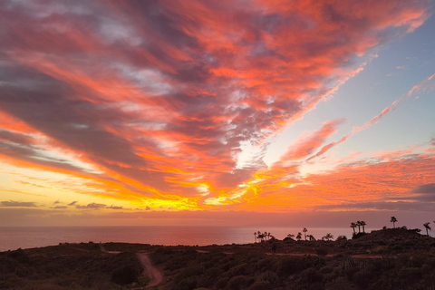 Teneriffa: La Caleta Guided Walking Tour