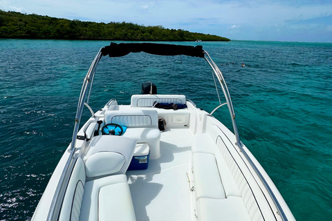 Mauritius: Seas the Day Lagoon Discovery Boat