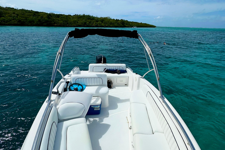 Mauritius: Seas the Day Lagoon Discovery Boat