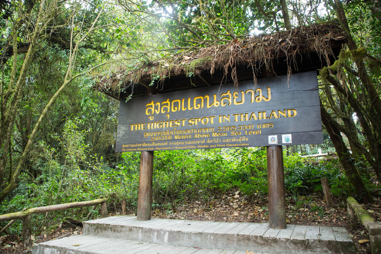 Chiang Mai: Doi Inthanon Tour & Pha Dok Siew Trail Trek Private Tour